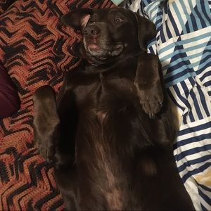 Meet your Posher, Megan